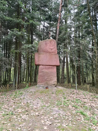 Rezerwat przyrody Jata